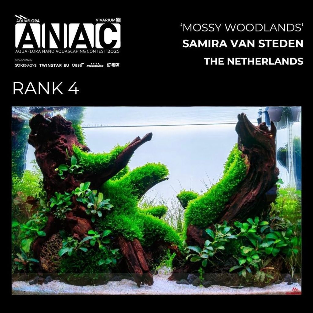 Posizione N.: 4: Samira Van Steden - Mossa Woodlands