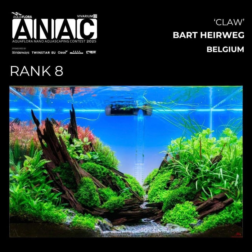 Posizione N.: 8: Bart Heirweg - Claw