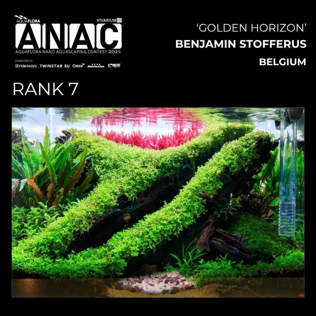 Posizione N.: 7: Benjamin Stofferus - Golden Horizon