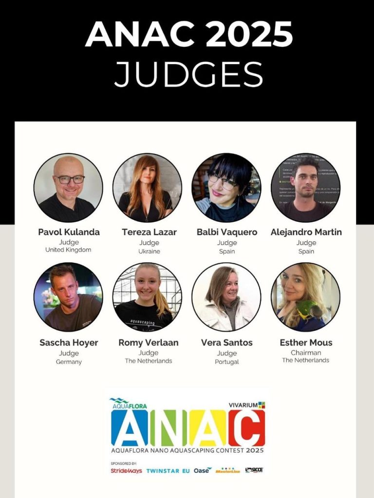 I Giudici di ANAC 2025