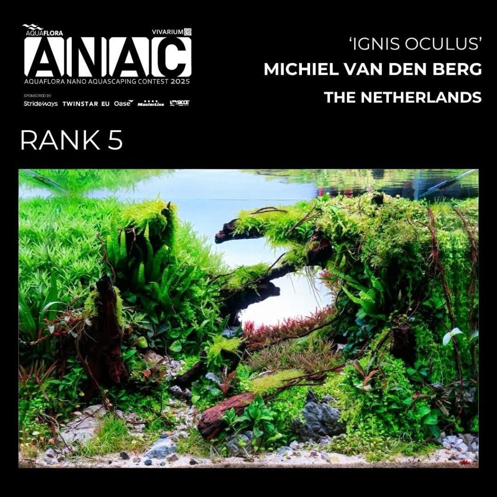 Posizione N.: 5: Michiel Van Den Berg - Ignis Oculus