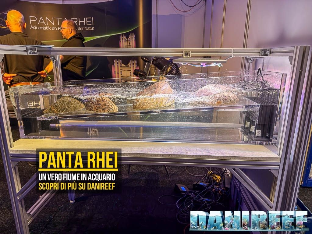 L'acquario fiume di Panta Rhei: La nostra copertina dell'articolo
