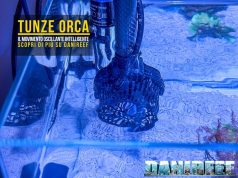 Tunze Orca: il sistema di movimento oscillante per acquari marini