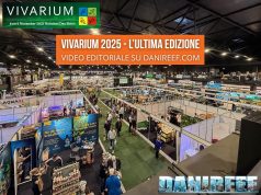 Vivarium 2025: l’ultima edizione tra novità, coralli e aquascaping in video