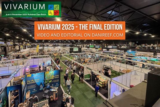 Vivarium 2025: the final edition with new gear, corals and aquascapes