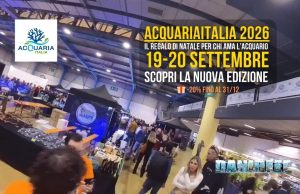 AcquariaItalia 2026: il regalo di Natale per chi ama l’acquario (–20%)