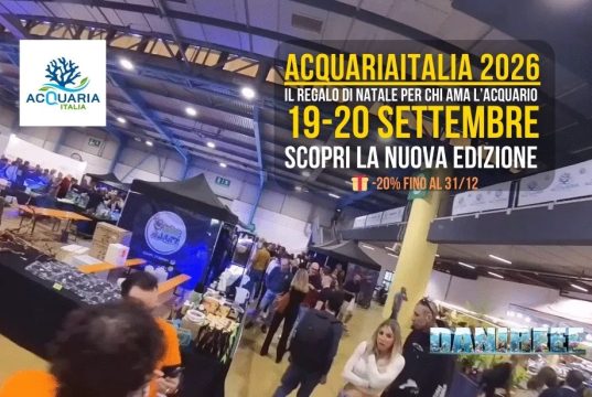 AcquariaItalia 2026: il regalo di Natale per chi ama l’acquario (–20%)