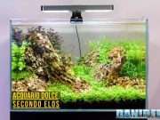 Elos e acquario dolce: allestimento completo con il loro protocollo (parte 1)