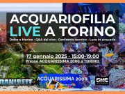 Acquariofilia LIVE a Torino: DaniReef e GNC da Acquarissima 2000 il 17 gennaio