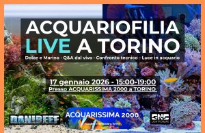 Acquariofilia LIVE a Torino da Acquarissima 2000
