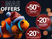 Solo per oggi offerta Masterfisch con sconti fino al 50%!