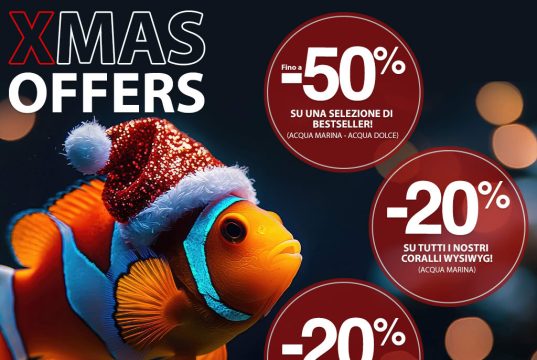 Solo per oggi offerta Masterfisch con sconti fino al 50%!