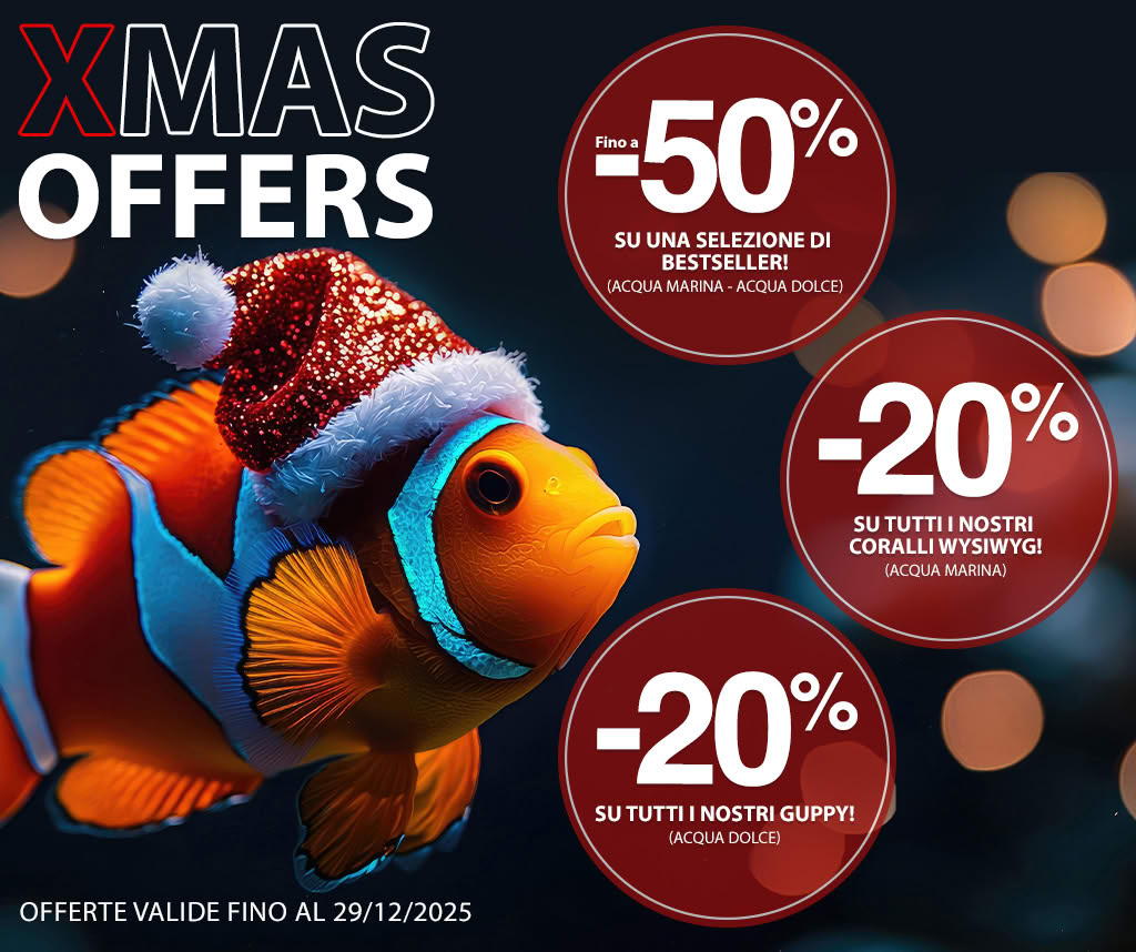 Offerte natalizie Masterfisch su acquario marino e acqua dolce
