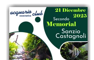 Secondo Memorial Sanzio Castagnoli – Acquario Club Cesenatico