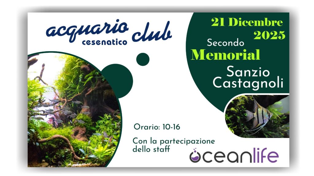 Secondo Memorial Sanzio – Acquario Club Cesenatico
