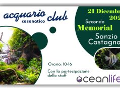 Secondo memorial Sanzio Castagnoli all’Acquario Club Cesenatico