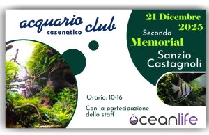 Secondo memorial Sanzio Castagnoli all’Acquario Club Cesenatico