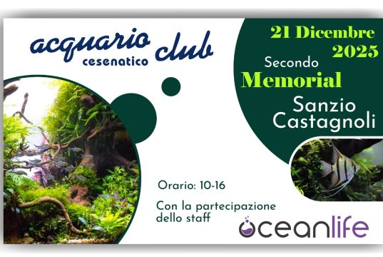 Secondo memorial Sanzio Castagnoli all’Acquario Club Cesenatico