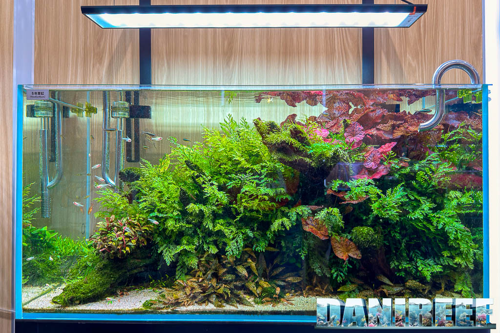Dettaglio di un layout Nature Aquarium di Netlea al CIPS 2025