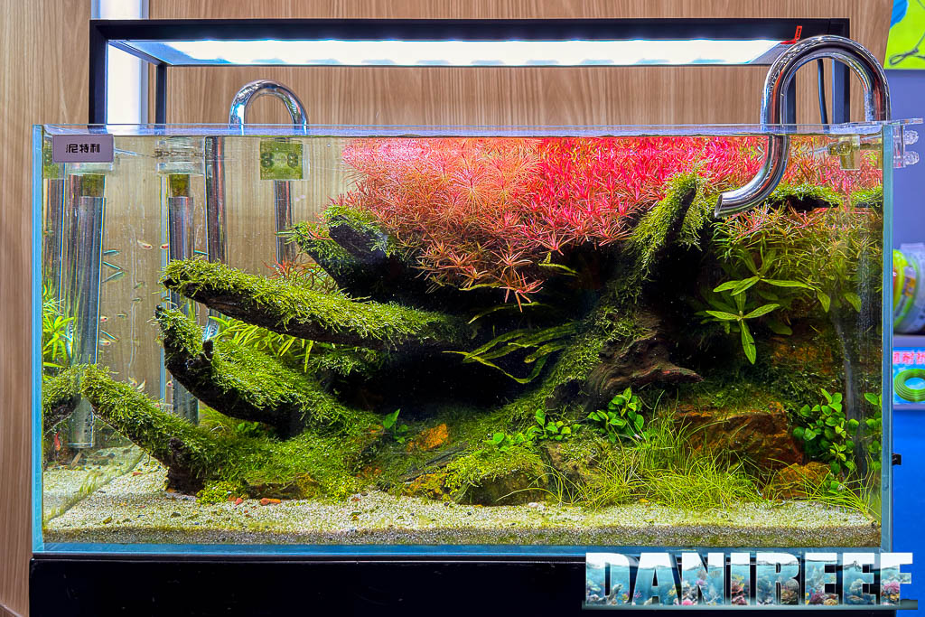 Vista laterale del layout Nature Aquarium di Netlea al CIPS 2025