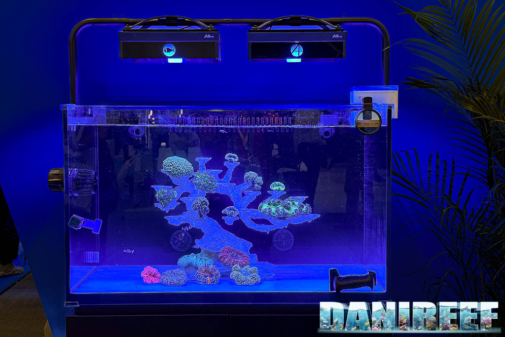 Un acquario della serie Magic di Neptunian Cube