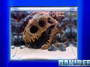 WWWAQUA al CIPS 2025: sfondi 3D scenografici e un T-Rex che divide