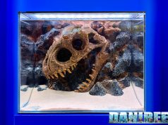 WWWAQUA al CIPS 2025: sfondi 3D scenografici e un T-Rex che divide