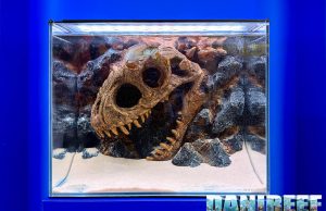 WWWAQUA al CIPS 2025: sfondi 3D scenografici e un T-Rex che divide