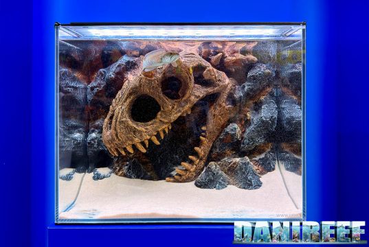 WWWAQUA al CIPS 2025: sfondi 3D scenografici e un T-Rex che divide