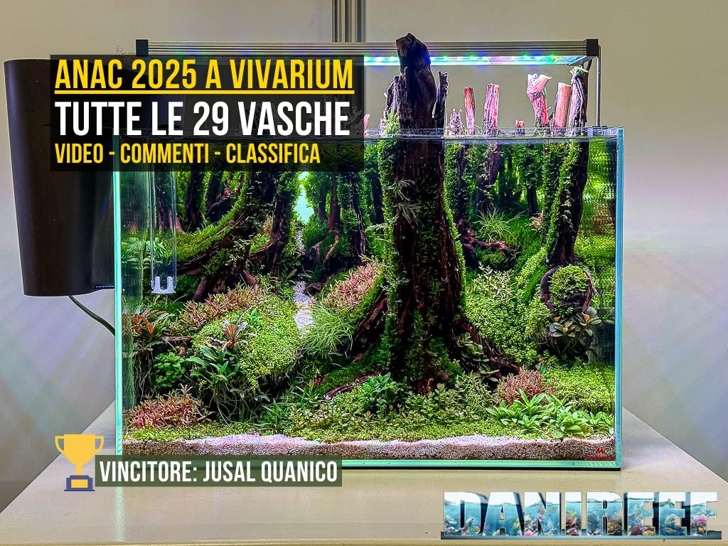 ANAC 2025 a Vivarium: tutte le 29 vasche, foto, commenti e classifica