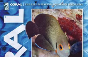 Coral Magazine: Strategie Riproduttive e Allevamento
