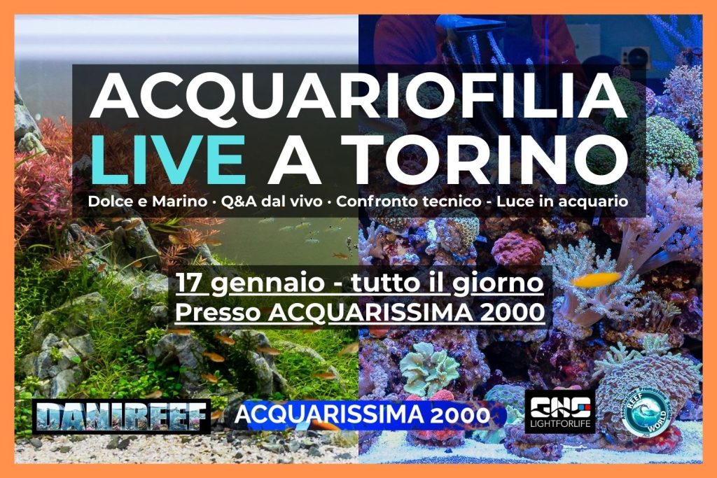 Acquariofilia LIVE a Torino: tutto pronto per l'evento del 17 gennaio
