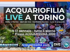 Acquariofilia LIVE a Torino: tutto pronto per l’evento del 17 gennaio