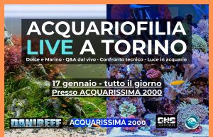 Acquariofilia LIVE a Torino: tutto pronto per l’evento del 17 gennaio