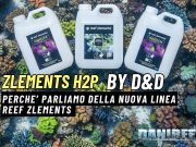 Reef Zlements H2P: il balling evoluto che gestisce il pH Sistema Zlements H2P