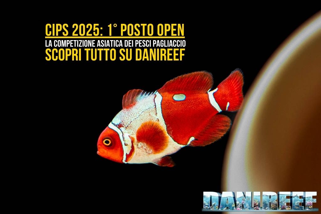 La nostra copertina per questo articolo