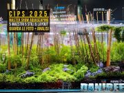 CIPS 2025 e Aquascaping: i 5 maestri protagonisti del Master Show