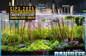 CIPS 2025 e Aquascaping: i 5 maestri protagonisti del Master Show
