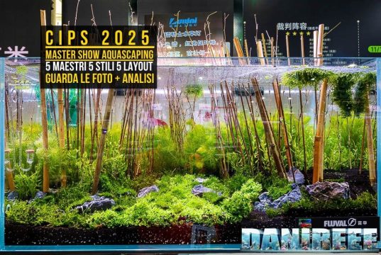 CIPS 2025 and Aquascaping: the 5 Masters of the Master Show