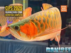 CIPS 2025: Aquascaping, Goldfish e Novità (Video)
