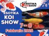 Esotika Koi Show: ad Arezzo l’evento dedicato alle Nishikigoi Image