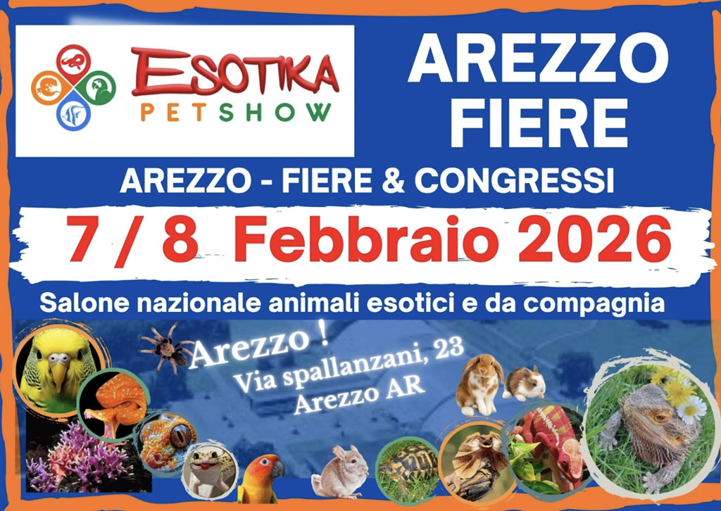 Ingresso ridotto: scarica il volantino sconto