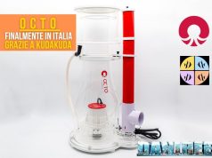 Octo finalmente importata in Italia: cosa cambia per gli acquariofili