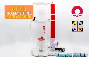 Octo finalmente importata in Italia: cosa cambia per gli acquariofili