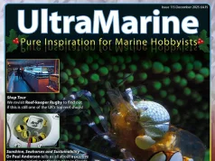 È uscito UltraMarine Magazine 115: reportage, pesci e acquari reef