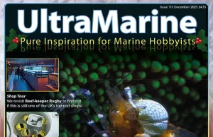 È uscito UltraMarine Magazine 115: reportage, pesci e acquari reef