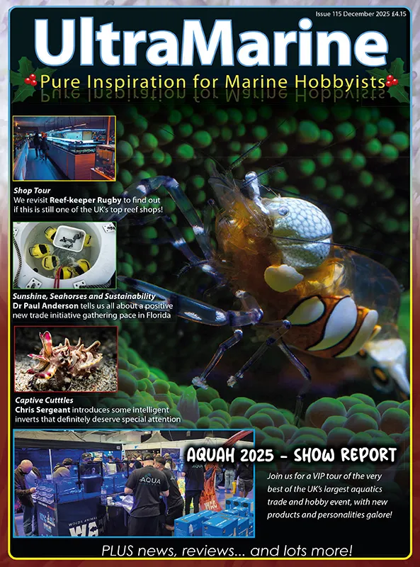 La copertina di UltraMarine Magazine 115, edizione dicembre 2025