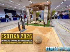 Reportage Esotika Arezzo 2026: tra acqua dolce e carpe Koi
