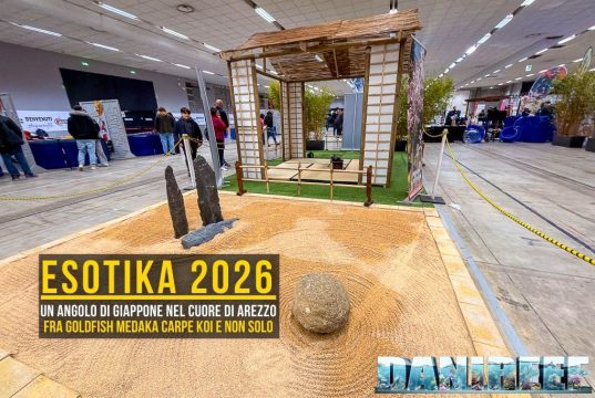 Reportage Esotika Arezzo 2026: tra acqua dolce e carpe Koi