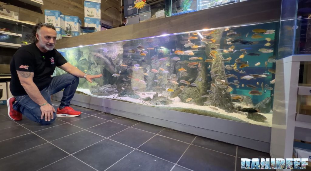 Acquario da 6000 litri ciclidi africani e malawi a Torino da Acquarissima 2000